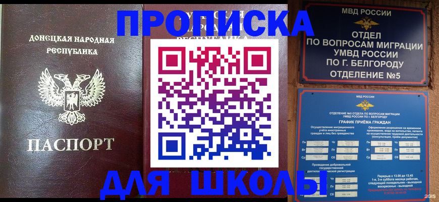 прописка для работы в Домодедово